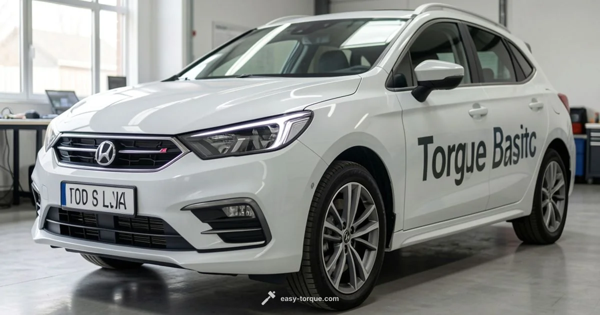 Torque Basics - Easy Torque