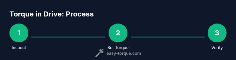 Process diagram showing inspect, set torque, verify steps