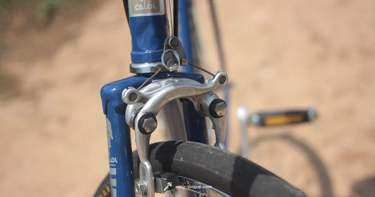Bike Pedal Torque - Easy Torque