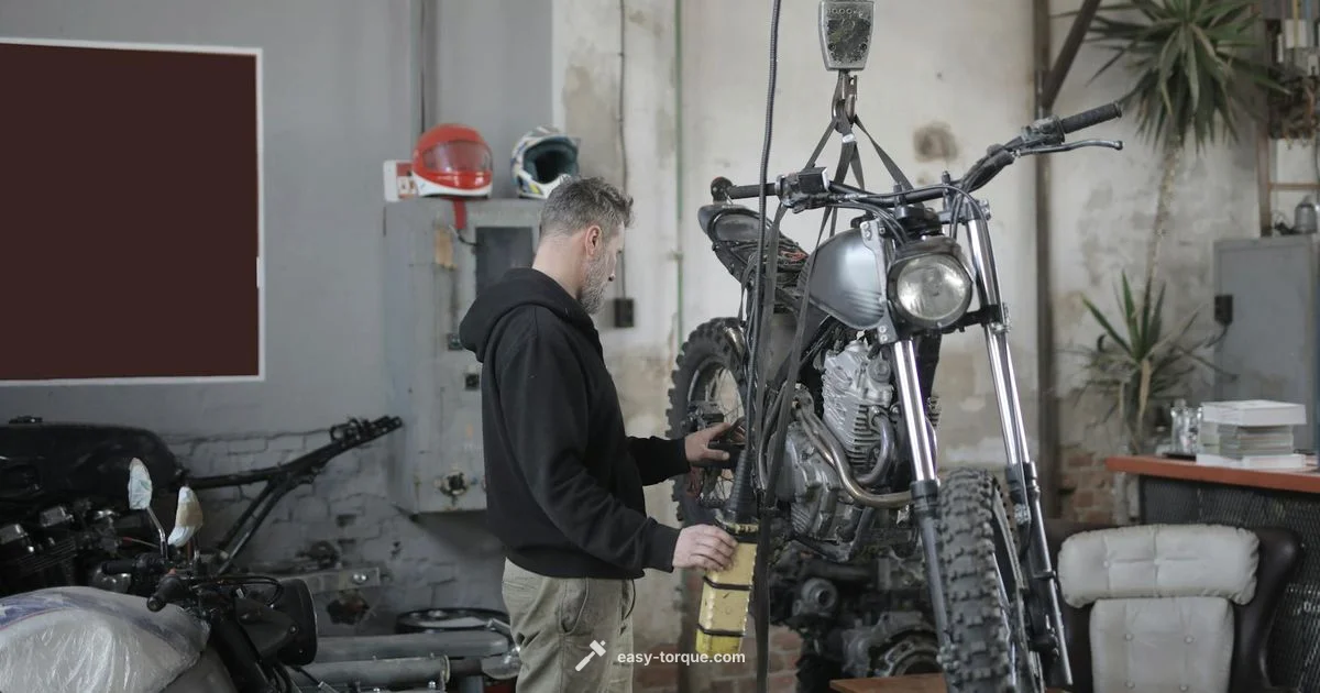 High Torque Motors - Easy Torque