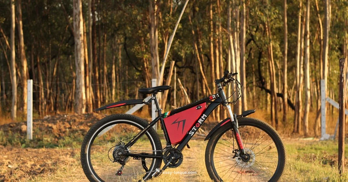 Torque Arms on E-Bike Torque Arms on E-Bike - Easy Torque