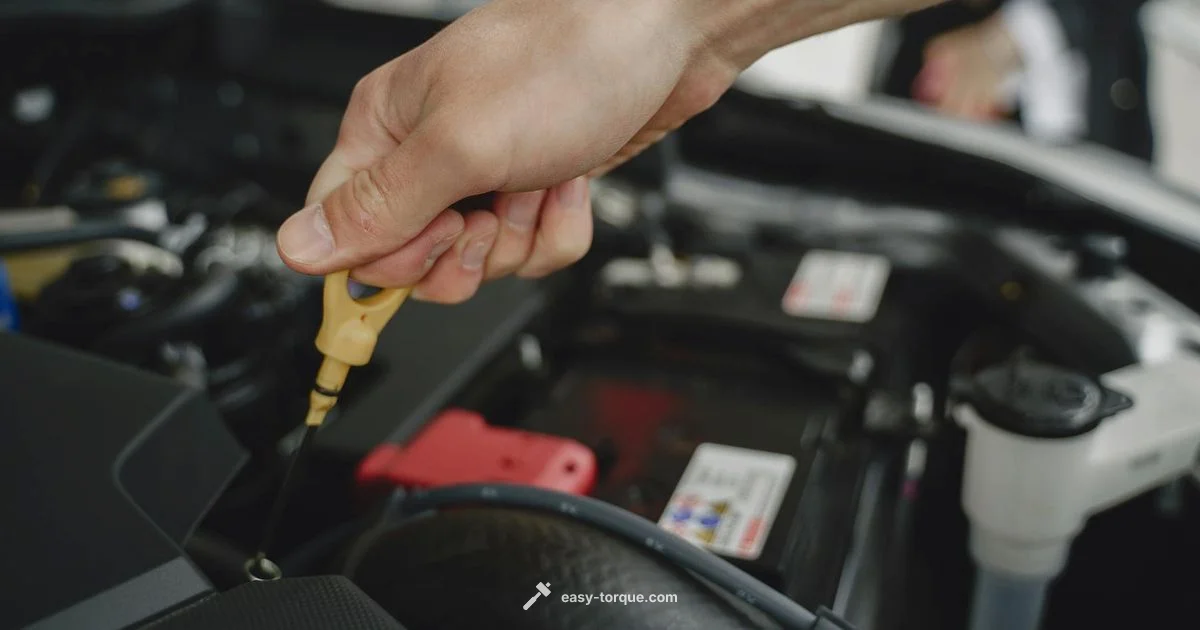 Drain Plug Torque Guide Drain Plug Torque Guide - Easy Torque