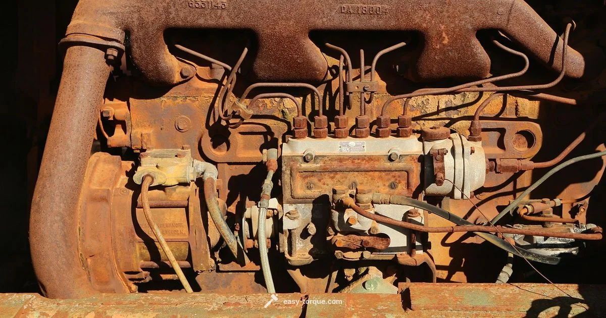 Torque and Momentum Torque and Momentum - Easy Torque