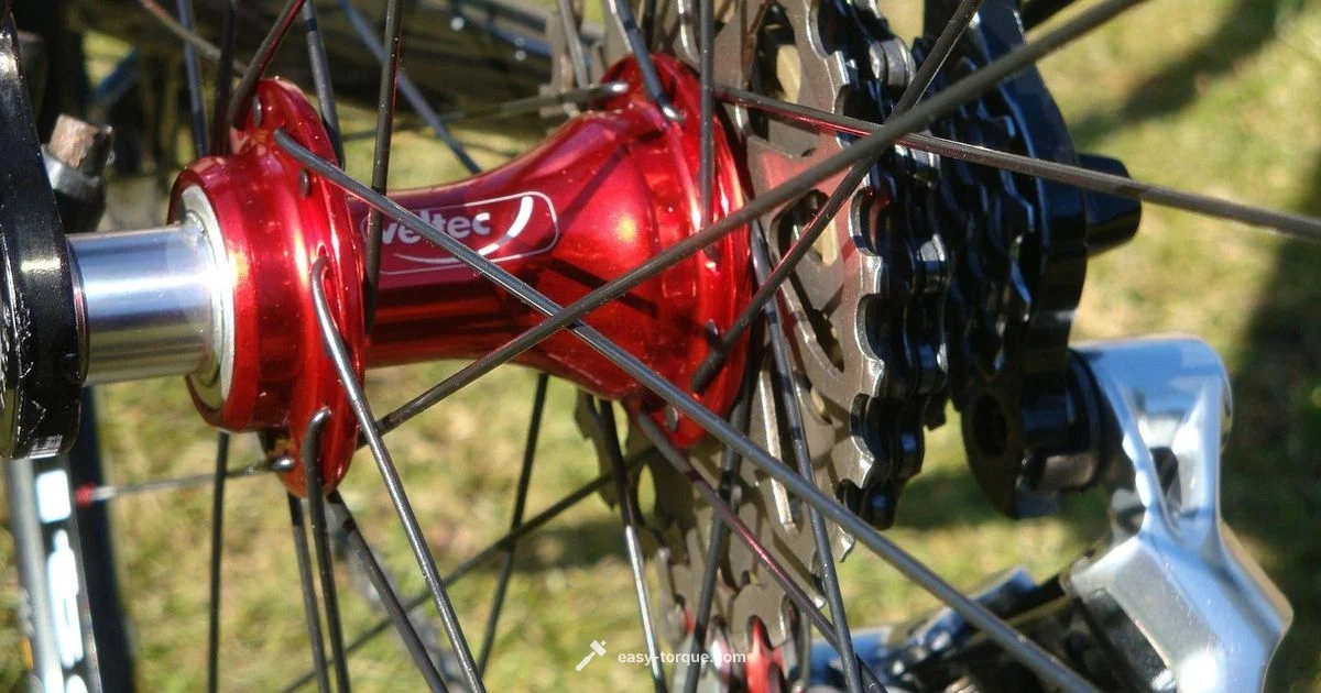 Torque Arm Suspension - Easy Torque