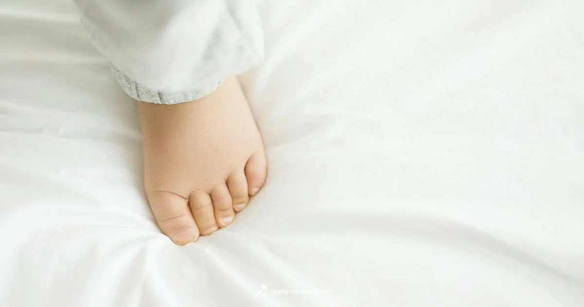 Torque Essentials Torque Essentials - Easy Torque