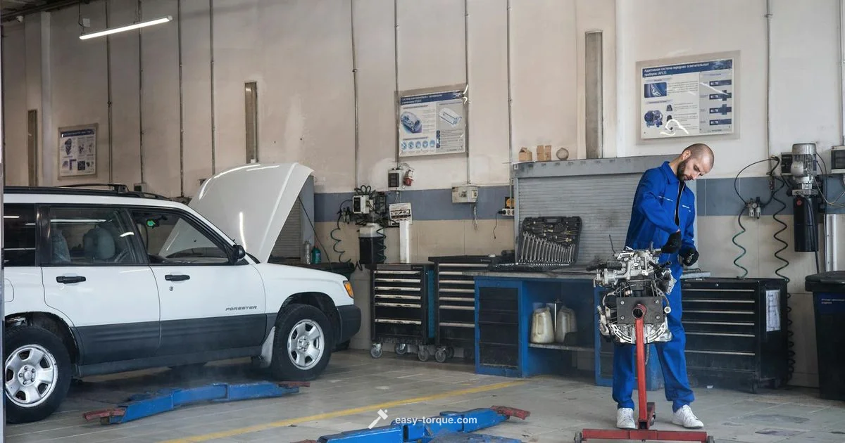 Torque in Action Torque in Action - Easy Torque