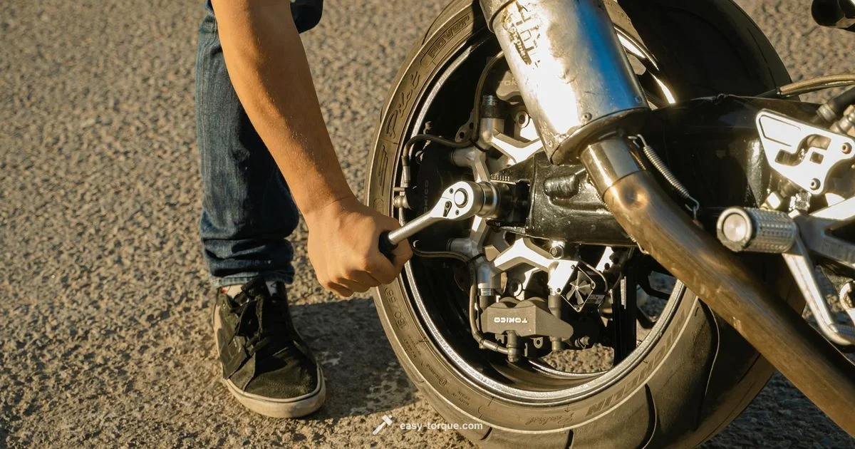 Bidirectional Torque - Easy Torque