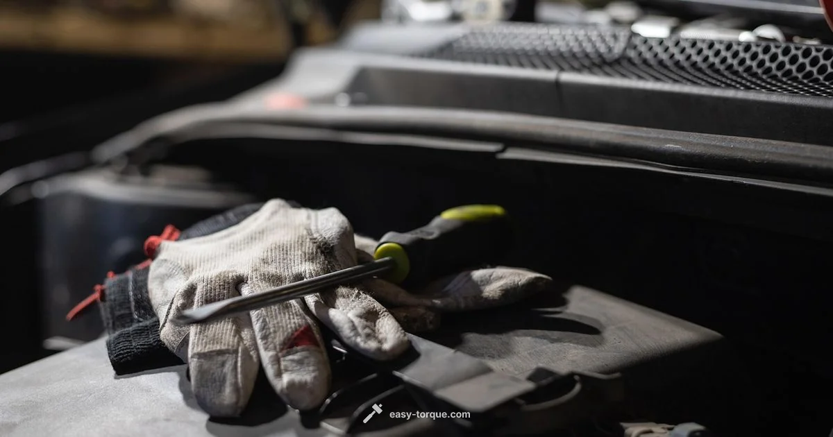 Torque Multiplier Guide Torque Multiplier Guide - Easy Torque