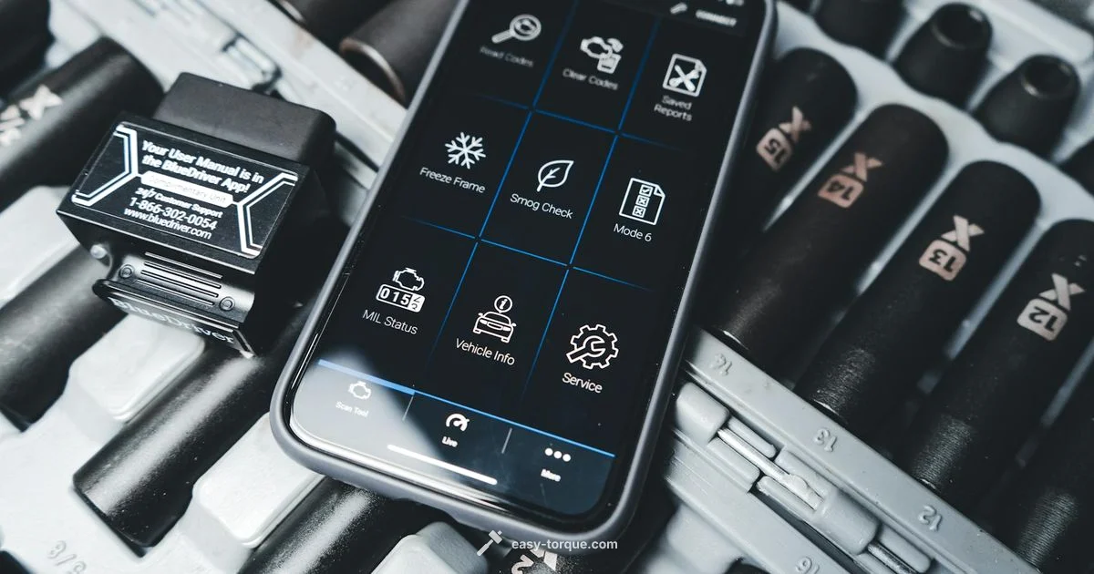 Torque Pro Pricing - Easy Torque