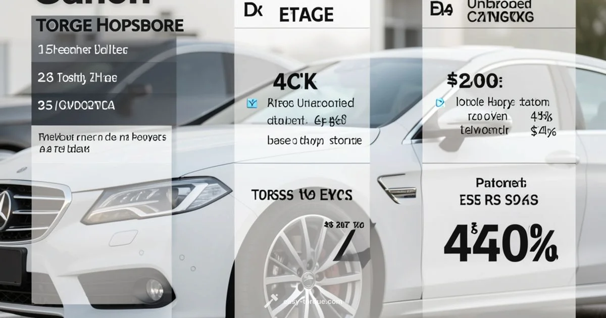 Torque vs BHP - Easy Torque