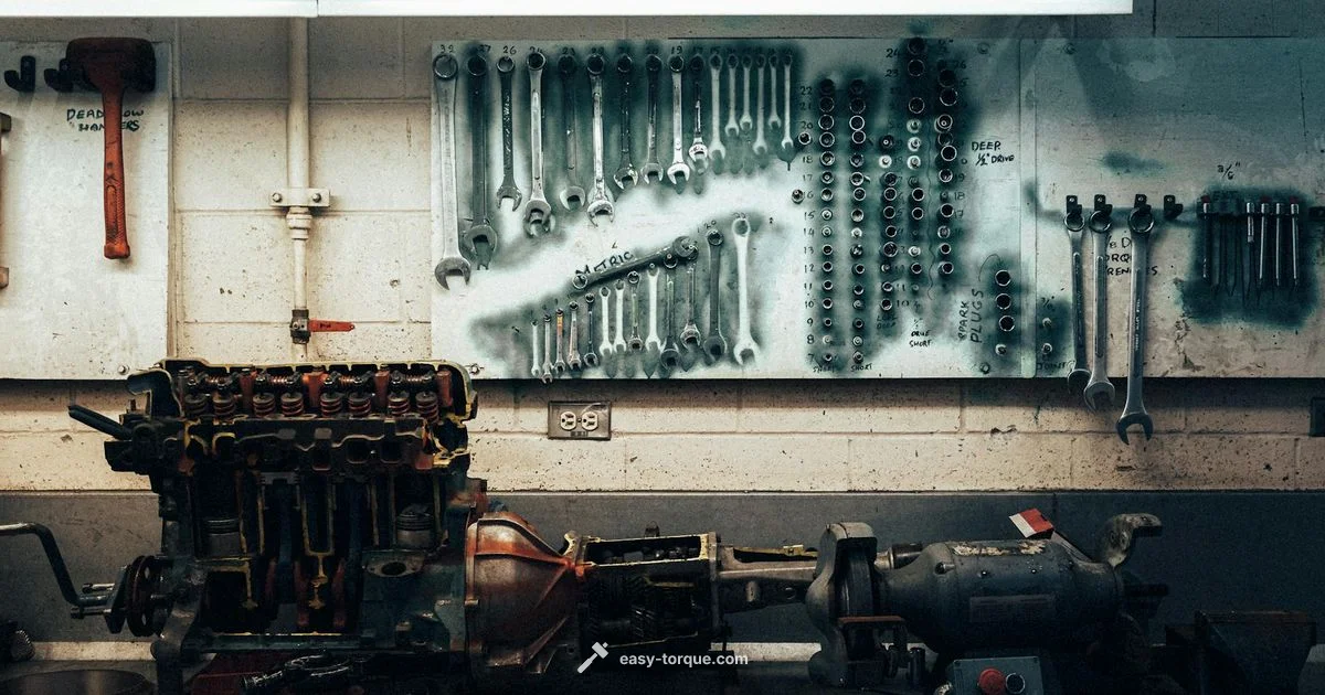 Calibration Basics Calibration Basics - Easy Torque