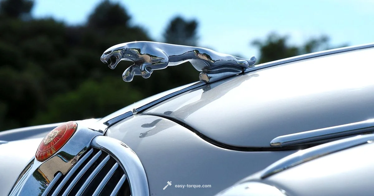 Torque Converter Guide - Easy Torque