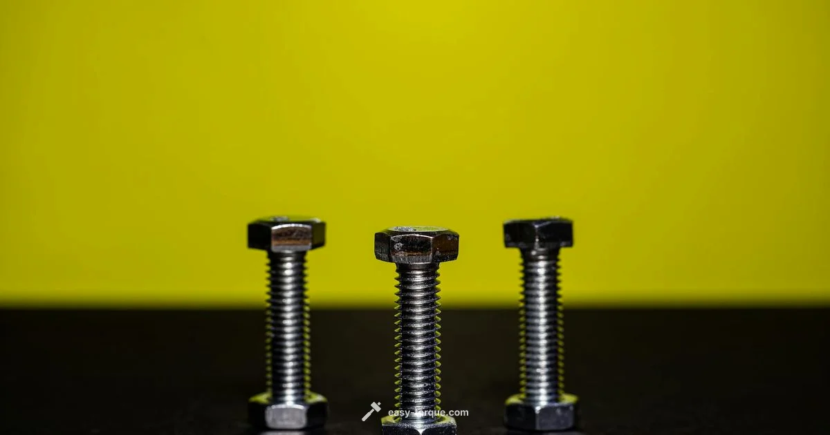 TTY Bolt Guide - Easy Torque