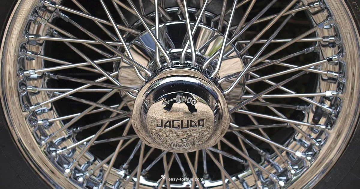 Wheel Bearing Torque Wheel Bearing Torque - Easy Torque