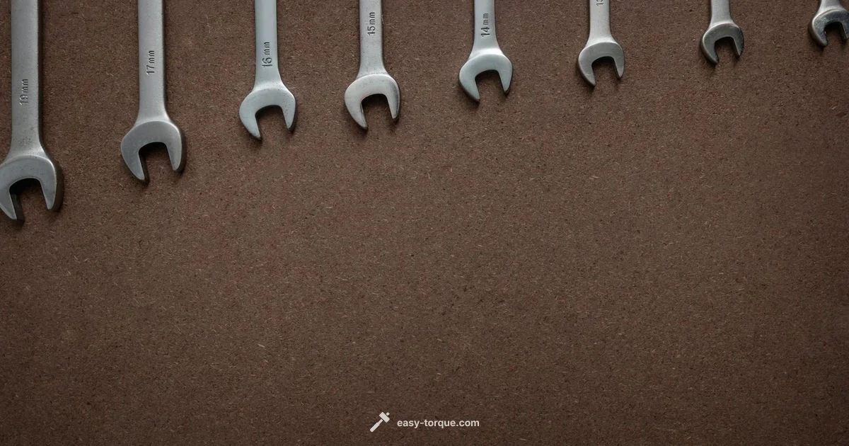 Torque in Action - Easy Torque