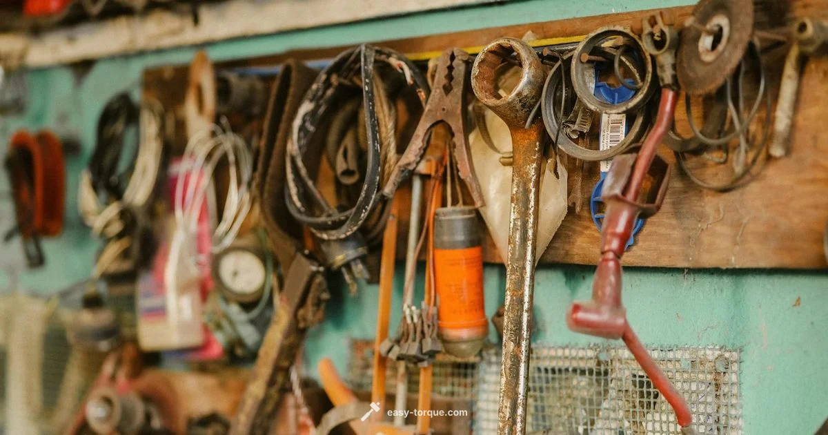 Mountz Torque Wrench - Easy Torque