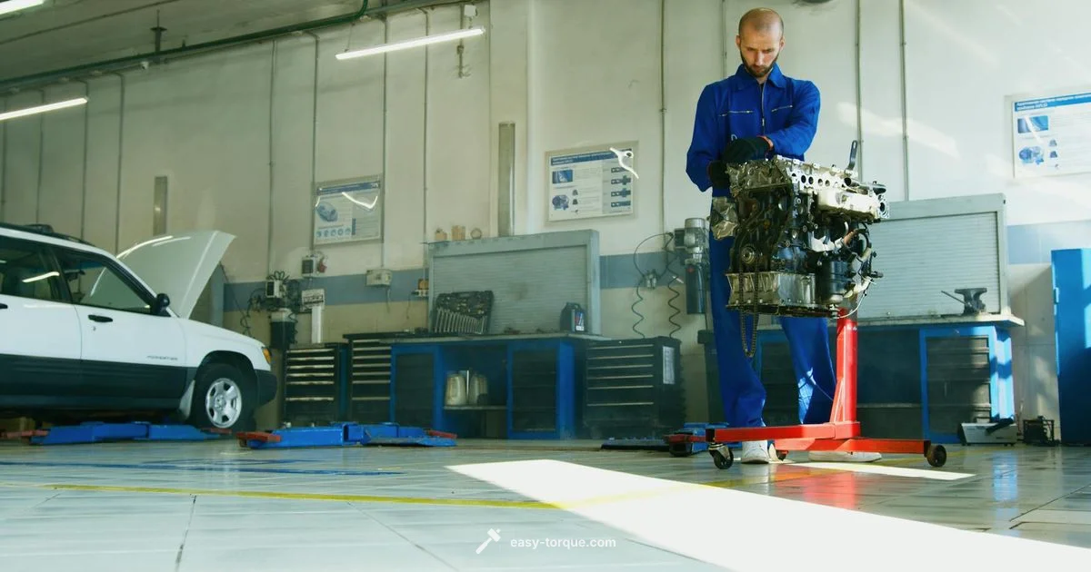 Wrench Torque Adapter Guide Wrench Torque Adapter Guide - Easy Torque