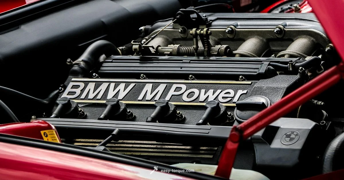 Torque Mount Lifespan - Easy Torque