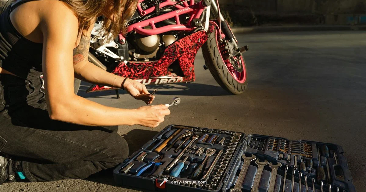 Park Tool Torque Wrench - Easy Torque