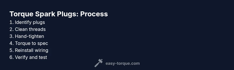 Infographic showing the torque spark plugs process
