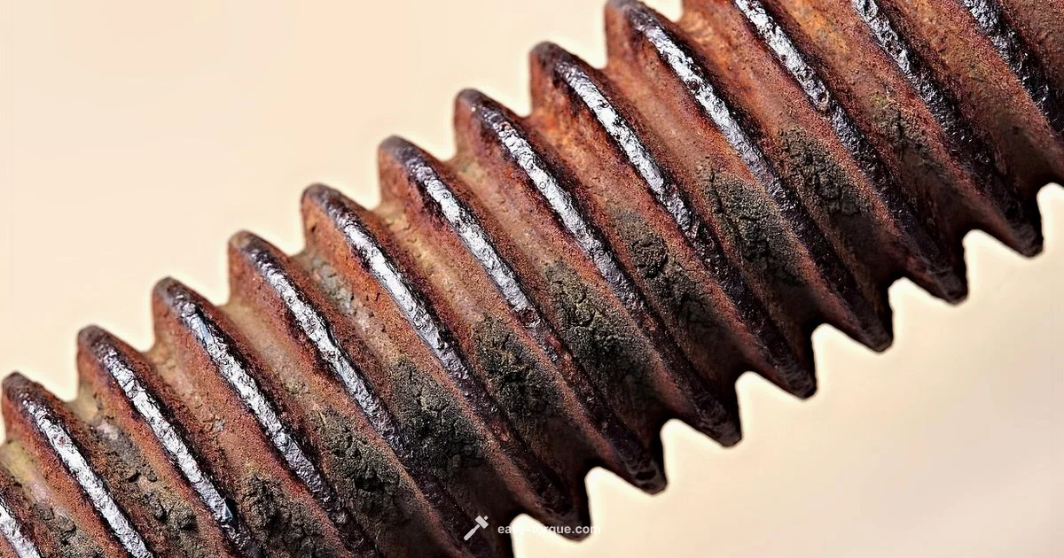 Torque Essentials - Easy Torque