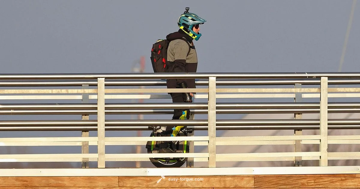 High Torque E Bikes - Easy Torque