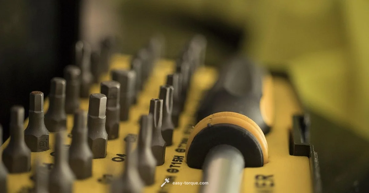 Torque Wrench Kit Guide Torque Wrench Kit Guide - Easy Torque