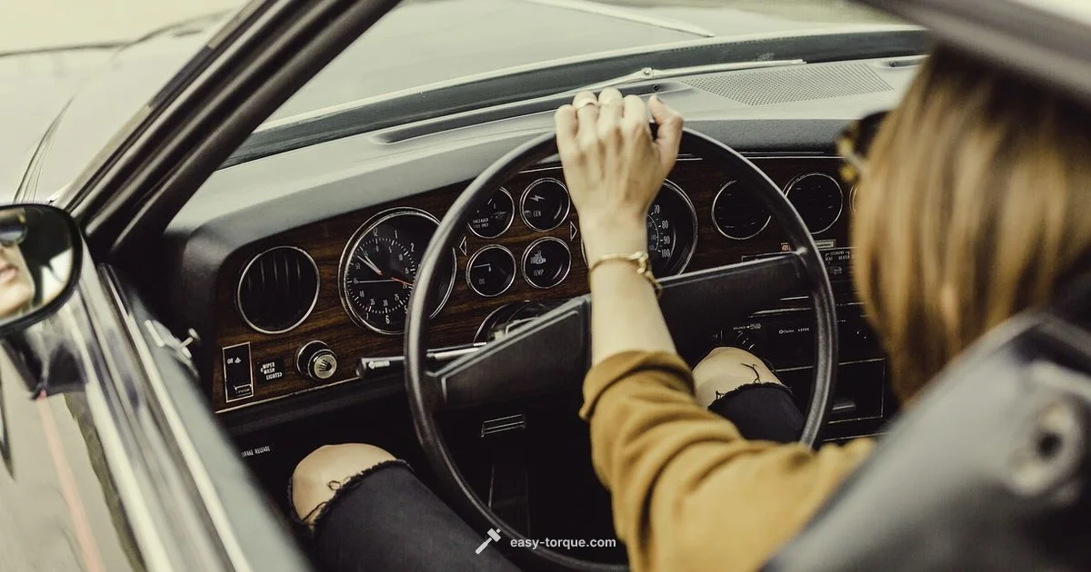 Steering Torque Guide - Easy Torque