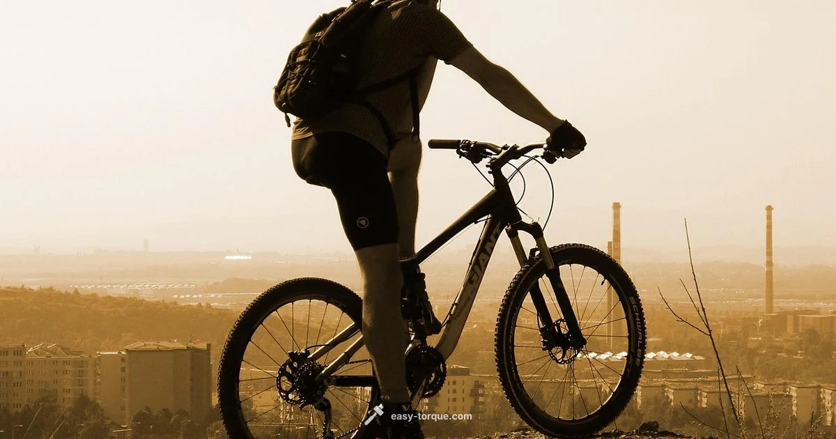 Torque Wrench for Cycling Torque Wrench for Cycling - Easy Torque