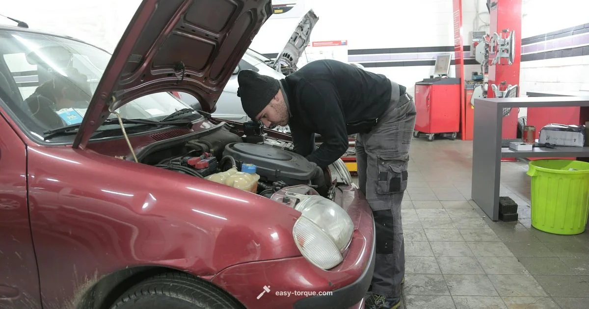 Torque Belt Guide Torque Belt Guide - Easy Torque