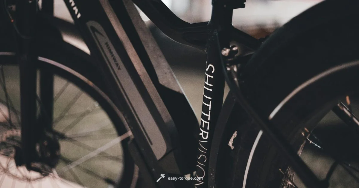 Torque Sensor E Bike - Easy Torque