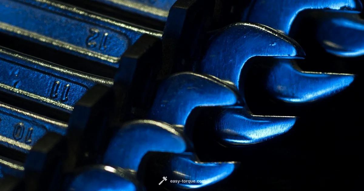 Top Torque Wrench Buy - Easy Torque