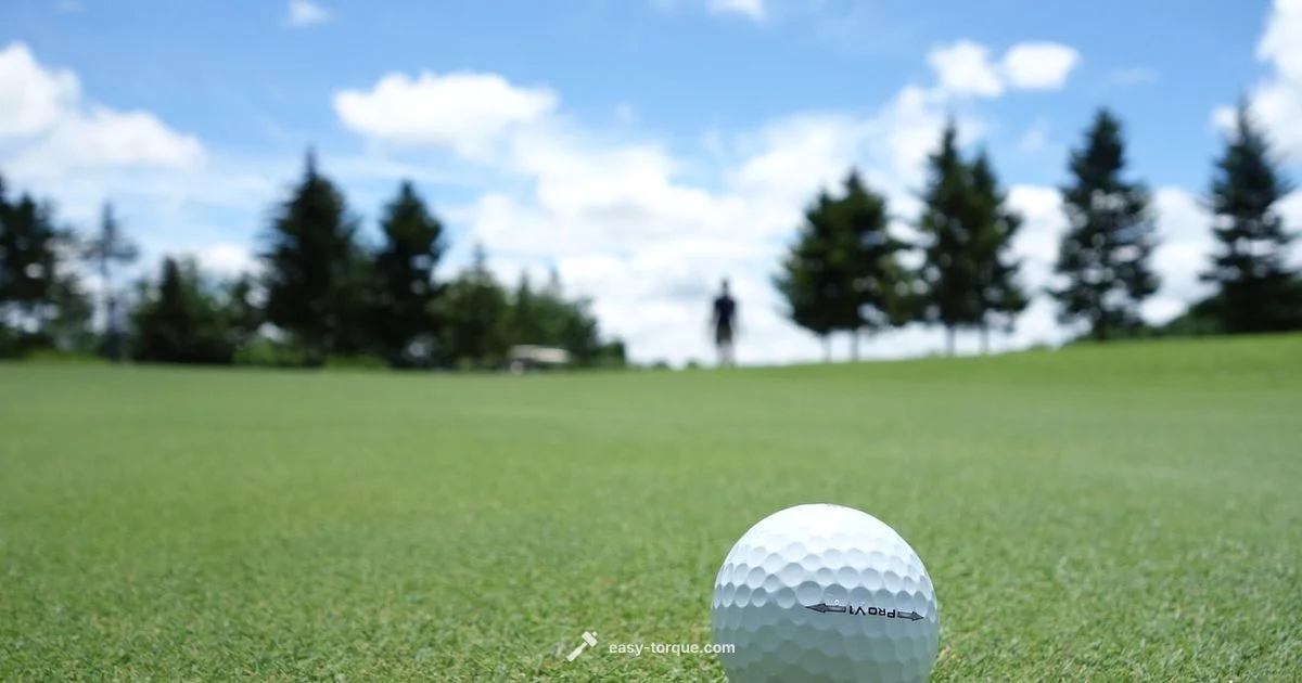 Spider Zero Torque Putter Spider Zero Torque Putter - Easy Torque